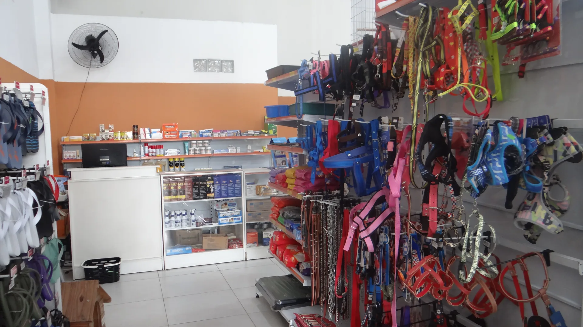 Parede de coleiras e acessórios pet